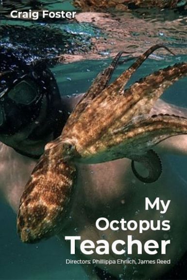 [4K纪录片] 我的章鱼老师 My Octopus Teacher (2020) My.Octopus.Teacher.2020.2160p.NF.WEB-DL.x265.10bit.SDR.DDP5.1