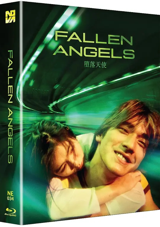 [4K蓝光原盘] 堕落天使 墮落天使 (1995) / Fallen Angels / Fallen.Angels.1995.CHINESE.2160p.BluRay.REMUX.HEVC.DTS-HD.MA.5.1