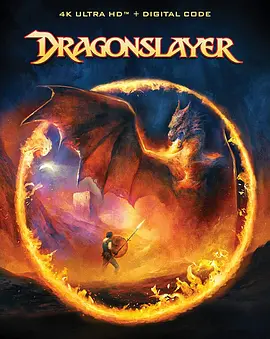 屠龙记 4K蓝光原盘下载 Dragonslayer (1981) / Dragonslayer.1981.2160p.BluRay.REMUX.HEVC.DTS-HD.MA.TrueHD.7.1.Atmos
